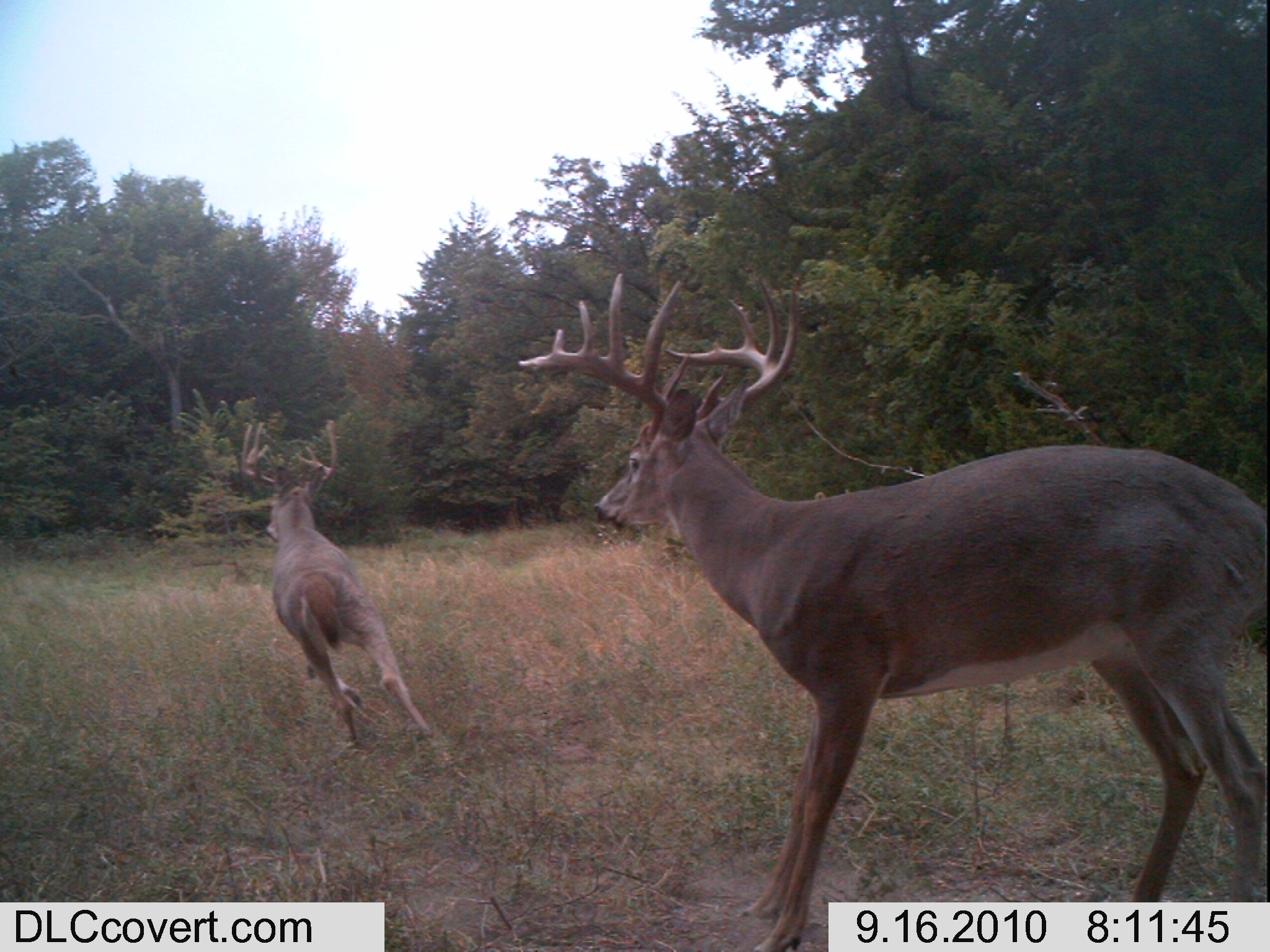 We're proud to host the 2026... - Iron Mound Outfitters | Facebook