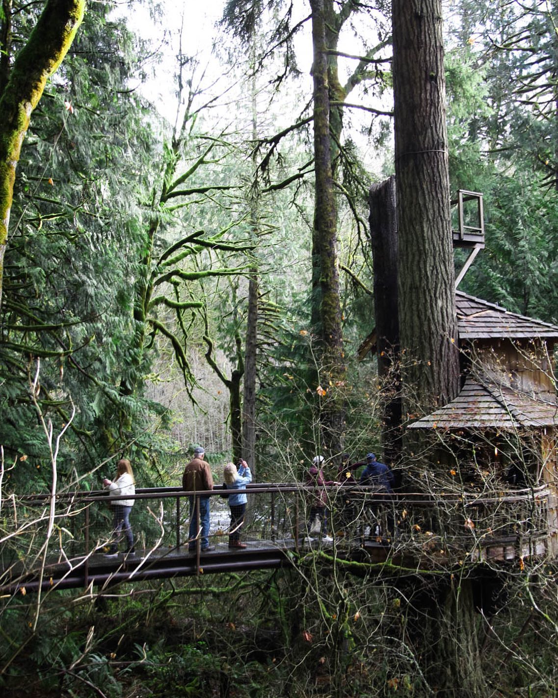 Treehouse Point - Step into a world of enchantment during... | Facebook