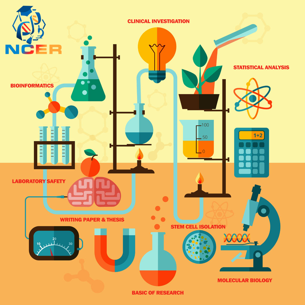 Ncer Egypt | Mansoura