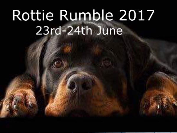 Rottie Rumble