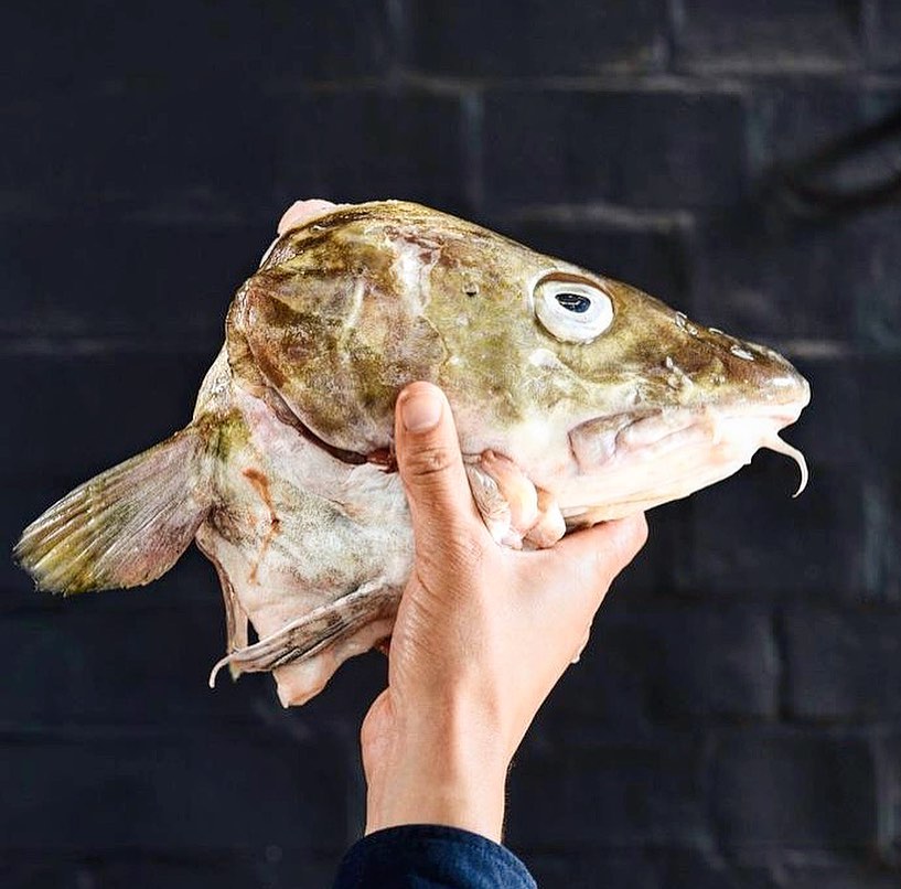 Fallow - COD’S HEAD 💥 We have loved taking what used to... | Facebook