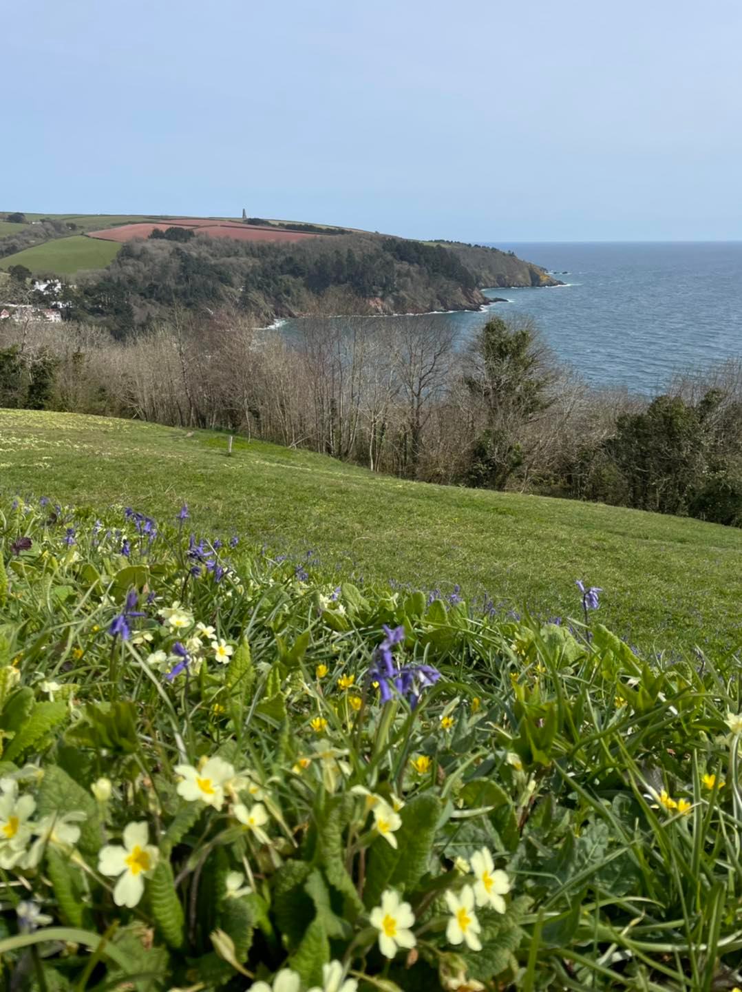 Devon with Kids - 💙 Bluebell season has arrived 💙 I love...
