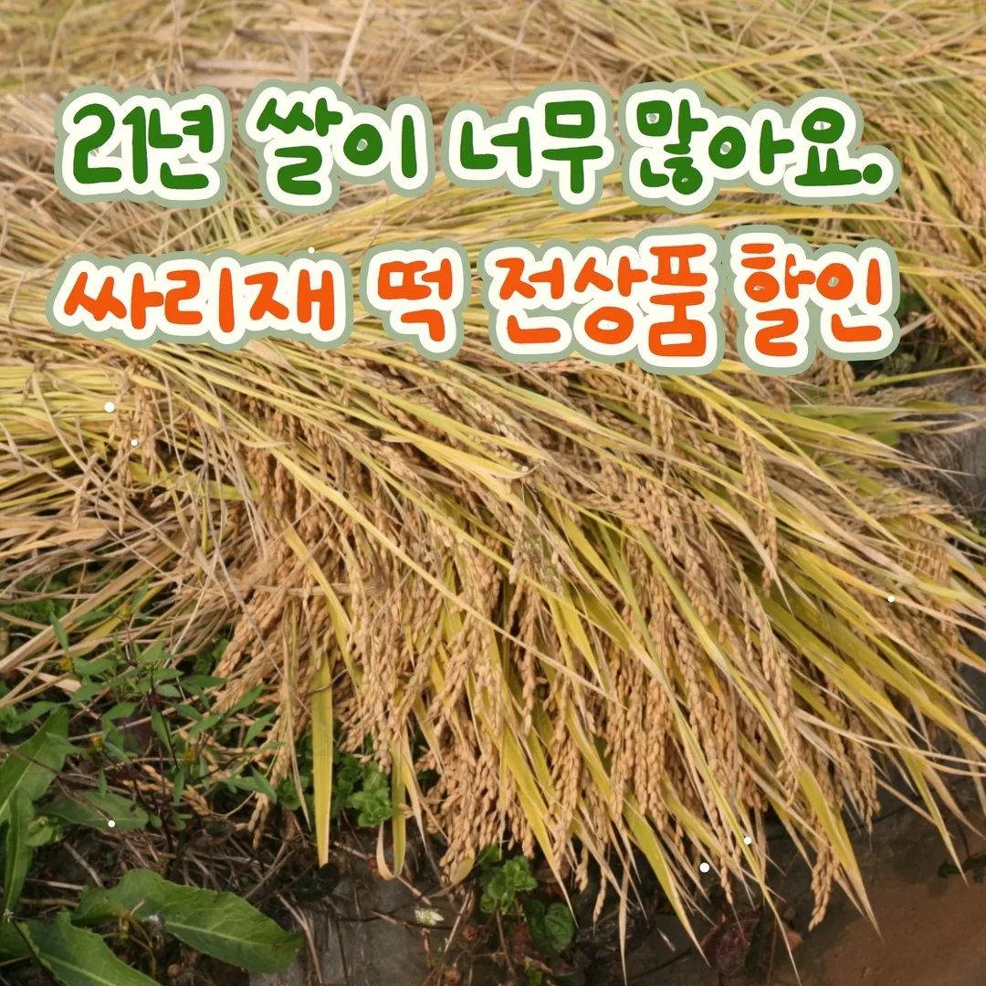 마을기업 싸리재 - 가을걷이를 마친 들녘엔 황금빛으로 출렁이던 나락 대신 내년 농사를 위해 논갈이를...