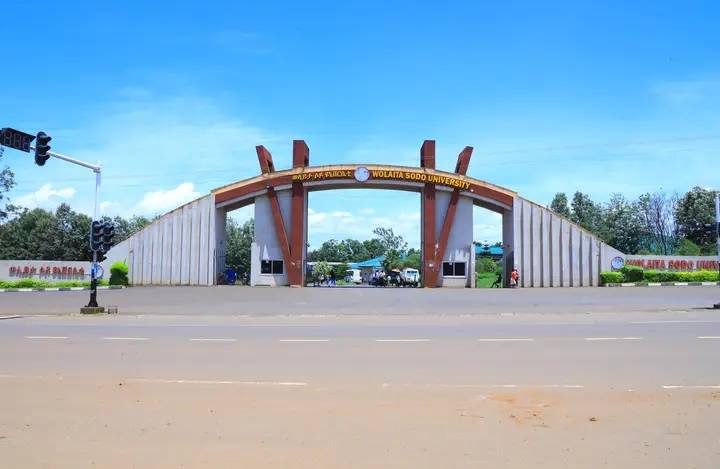 WSU Dawro Tercha Campus- ታርጫ ካምፓስ | Terchana