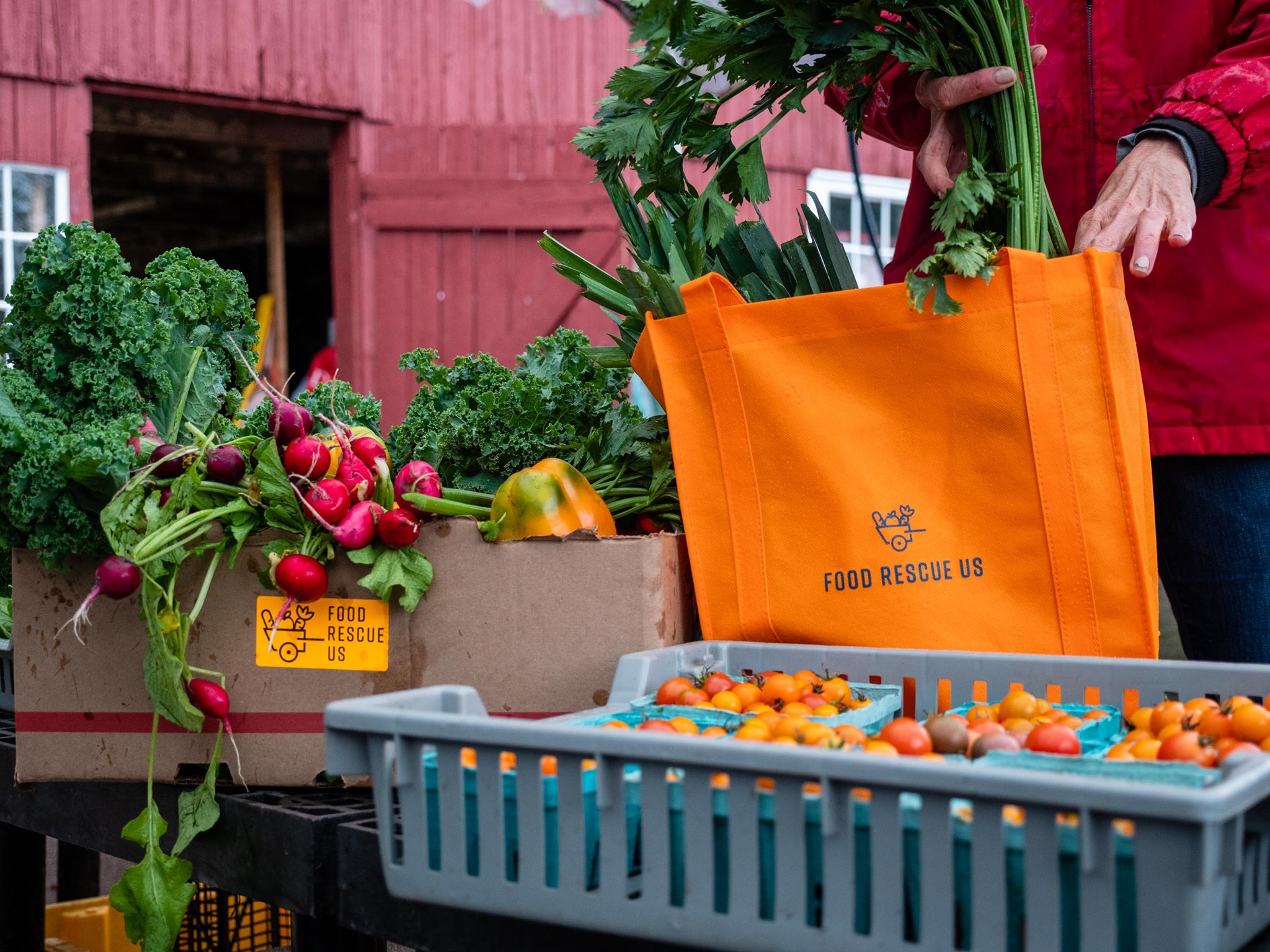Food Rescue US - Virginia Beach | Virginia Beach VA