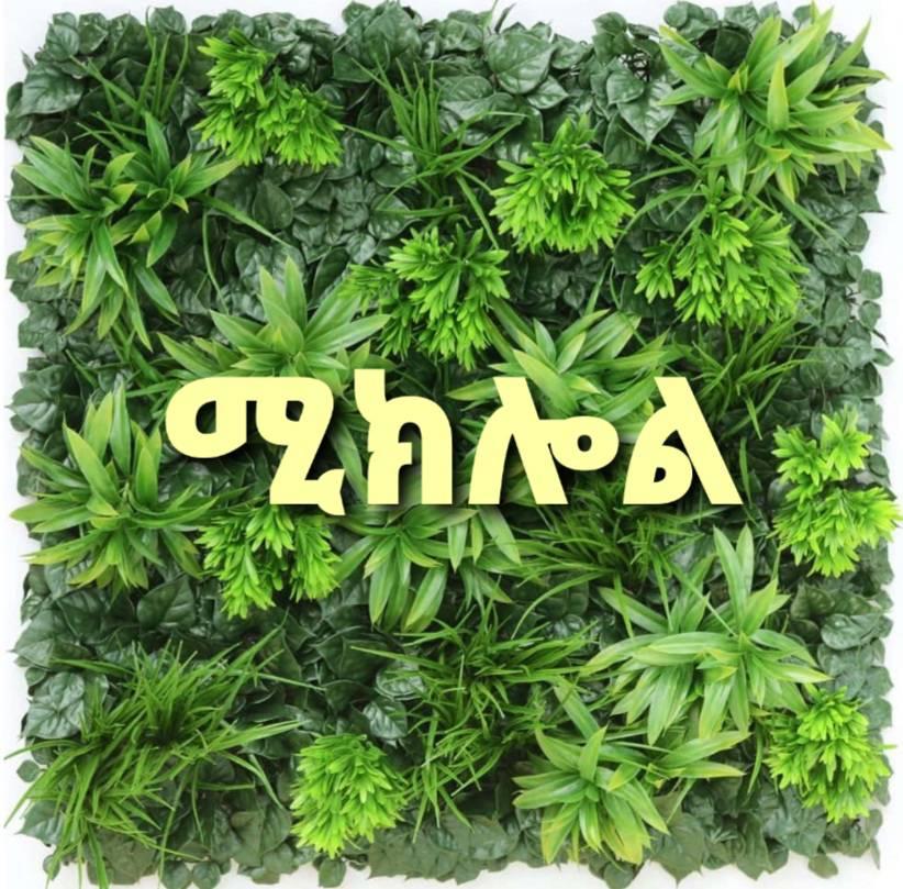 ሆ-ሳብዕ ጥበብ - ሆ-ሳብዕ ጥበብ added a new photo — at Gerji Mariam.