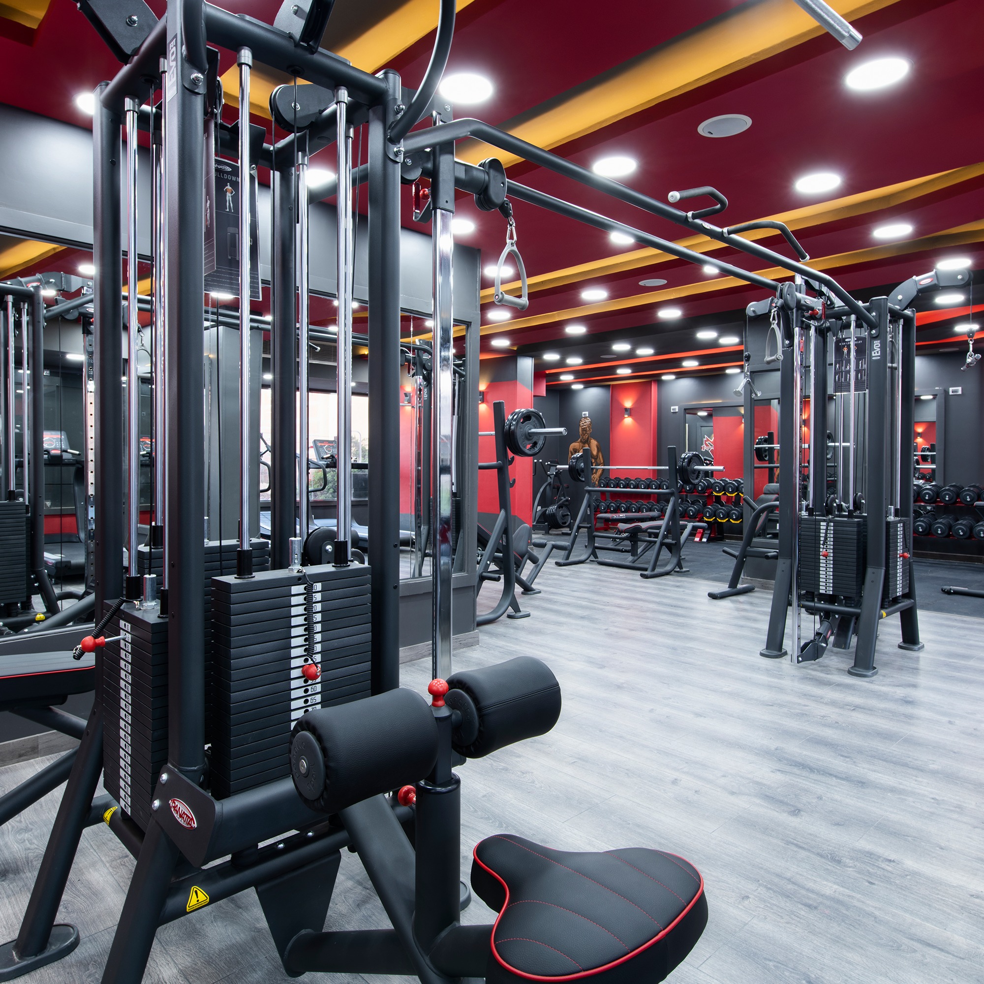 Predator Gym