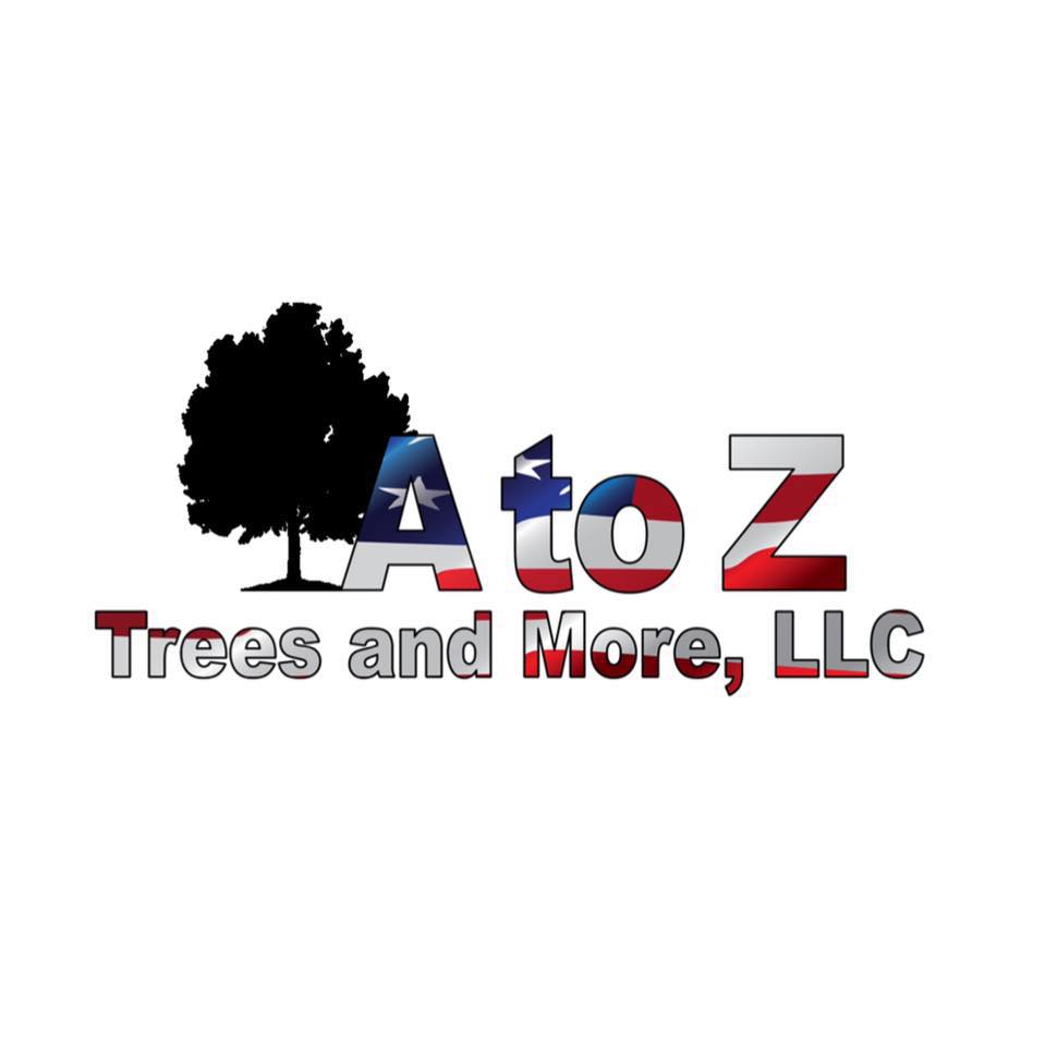 Before and after on an overgrown maple here in Omaha. The limbs were ...