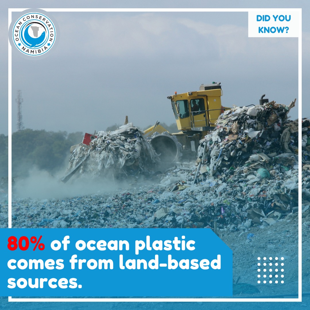 Ocean Conservation Namibia - Did You Know? An astonishing 80% of ocean ...