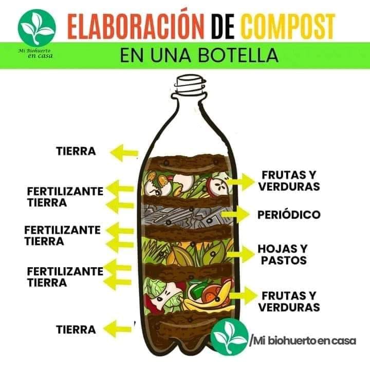 Huerto casero, sembremos todos en la Isla del Encanto | Es importante ...