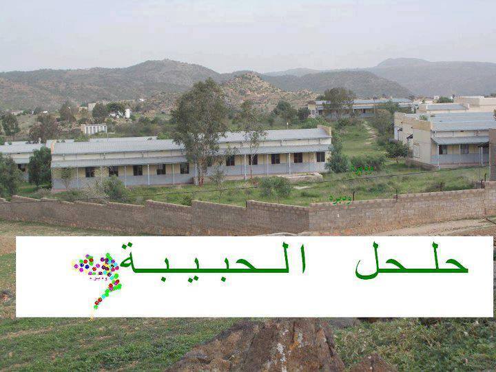 قري ومدن ارتريا نبذة تعريفية عن حلحل تقع حلحل الجمال في الجهة الشمالية الغربية من مدينة كرن في منطقة جبلية مرتفعة ما أضفى اليها ذلك الارتفاع جوا ربيعيا معتدلا معظم أيام