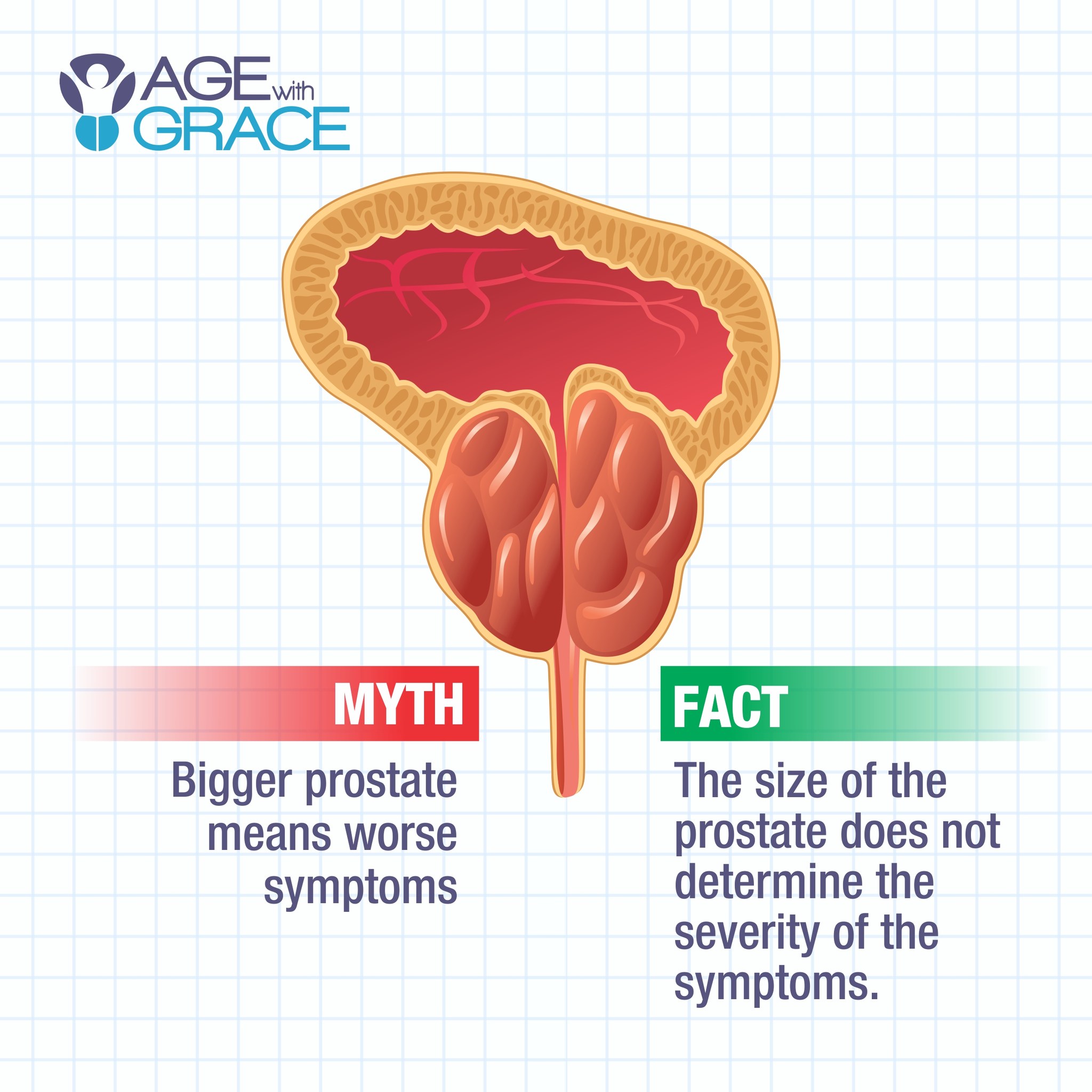 Age With Grace - The size of the prostate is not the... | Facebook