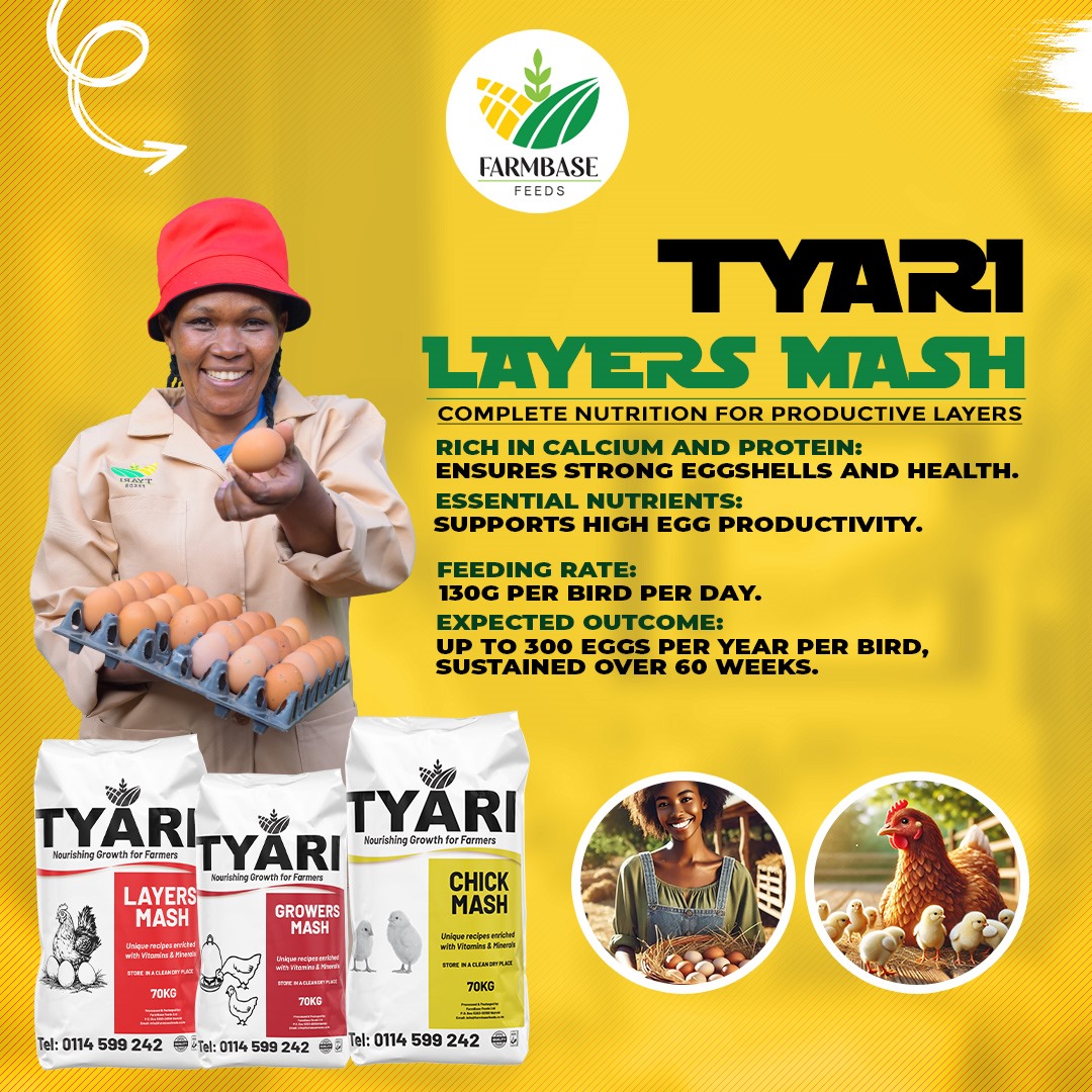 TYARI FEEDS