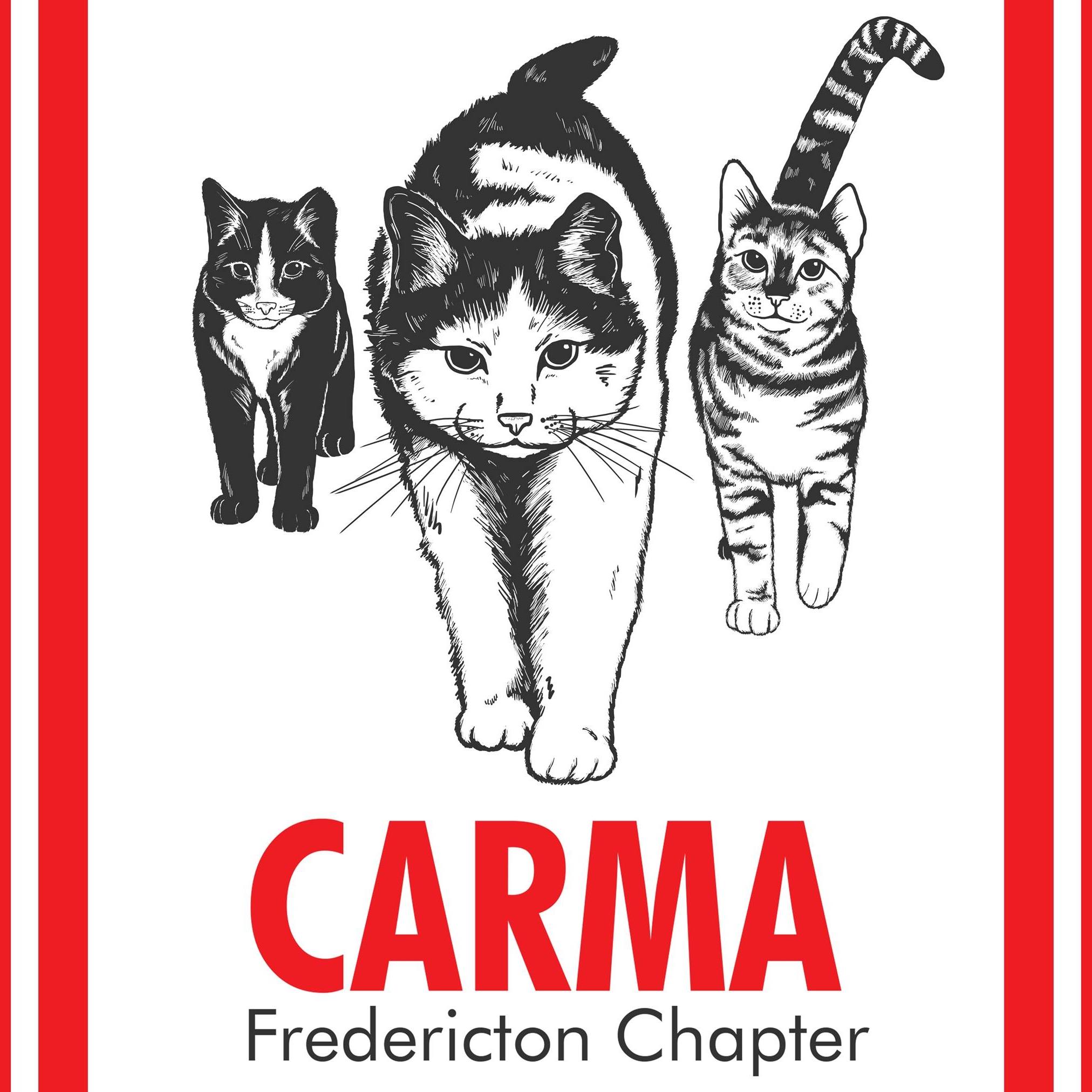 Please... - CARMA Cat Rescue Maritimes Fredericton Chapter | Facebook
