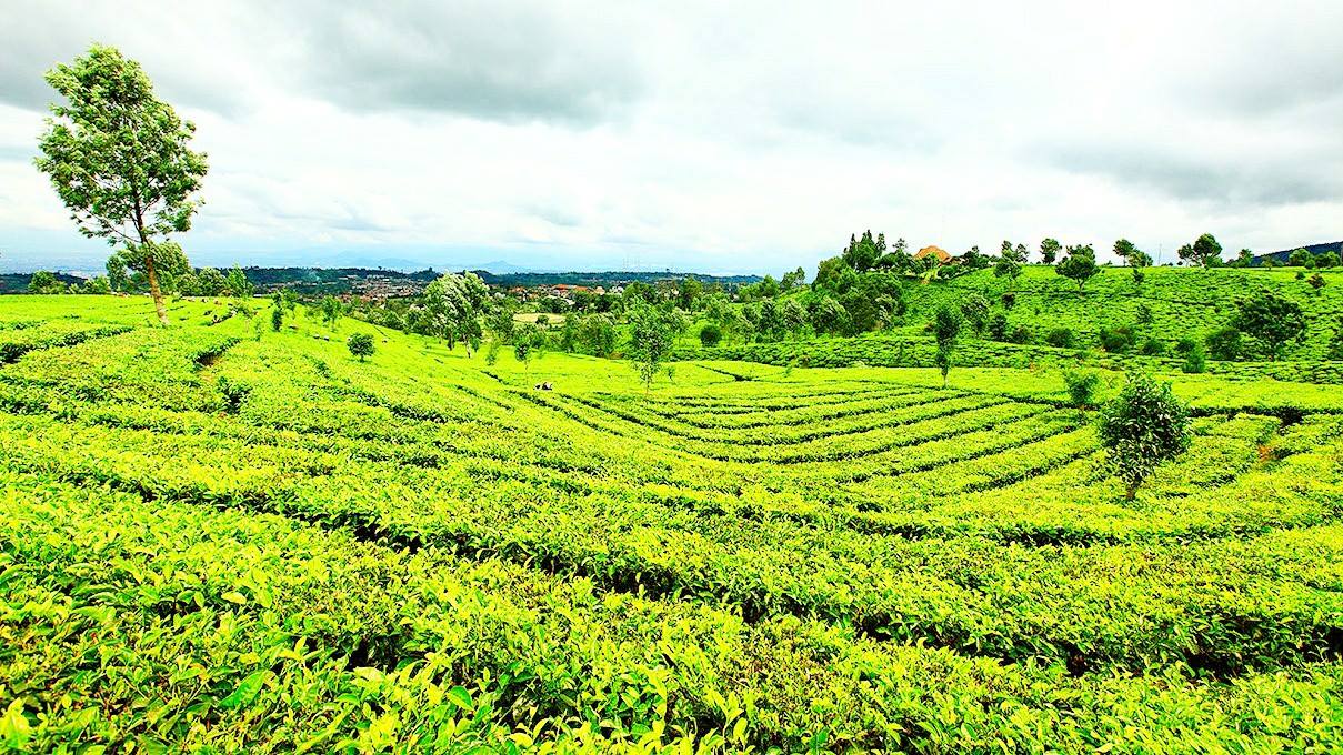 Wonderful West Java