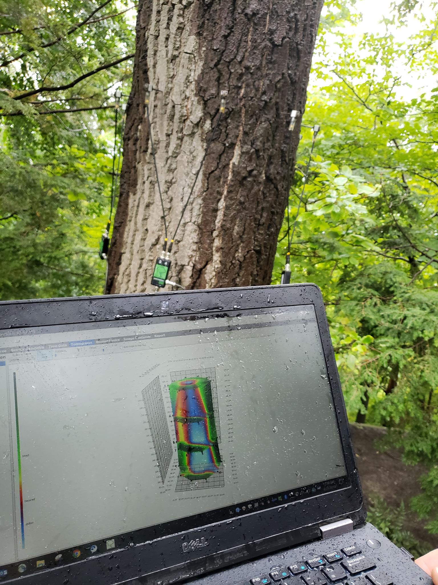 Canopy - Have you missed us? We've been busy working up high in the ...