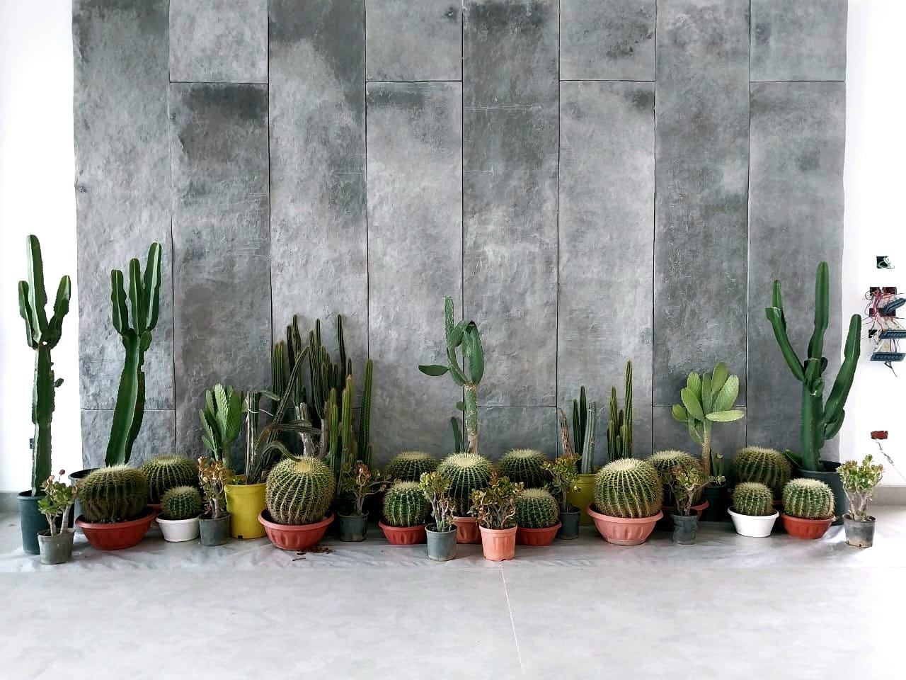 Module for Landscaping