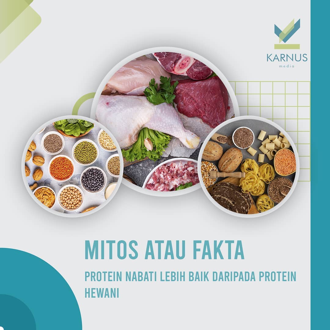Konsep Karnus - Jawabannya adalah MITOS Baik protein...