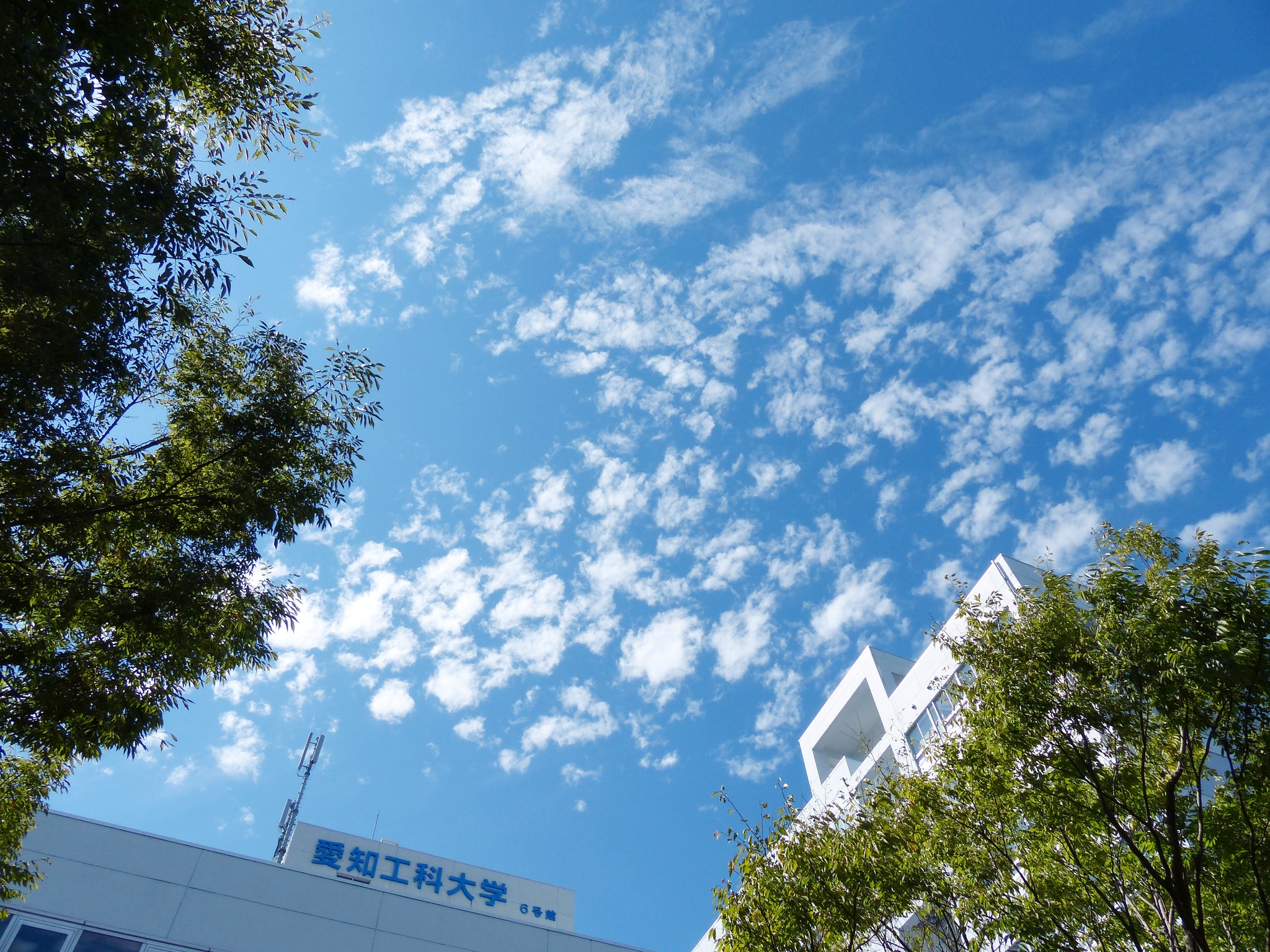 愛知 工科 大学