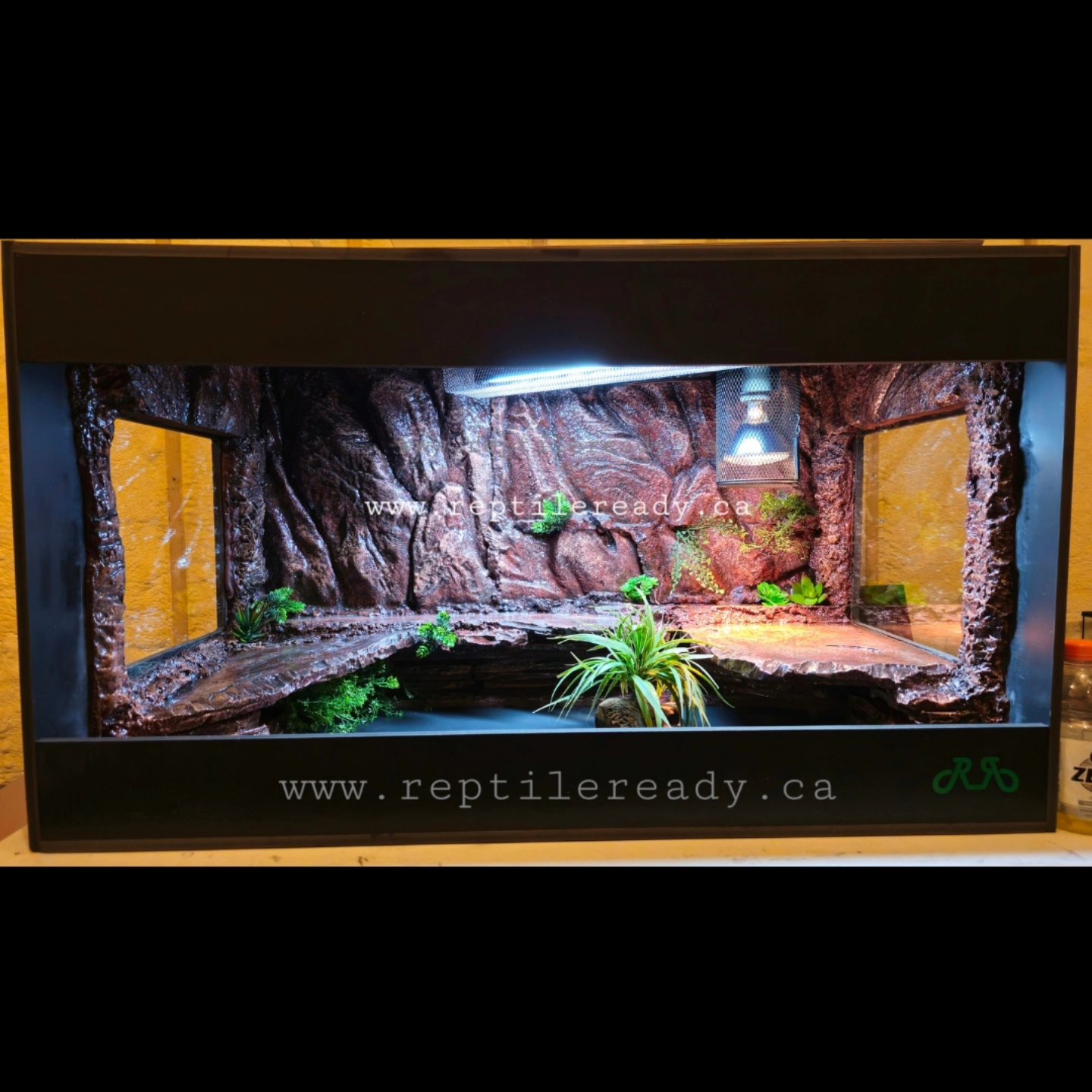 Gallery image with a fresh perspective