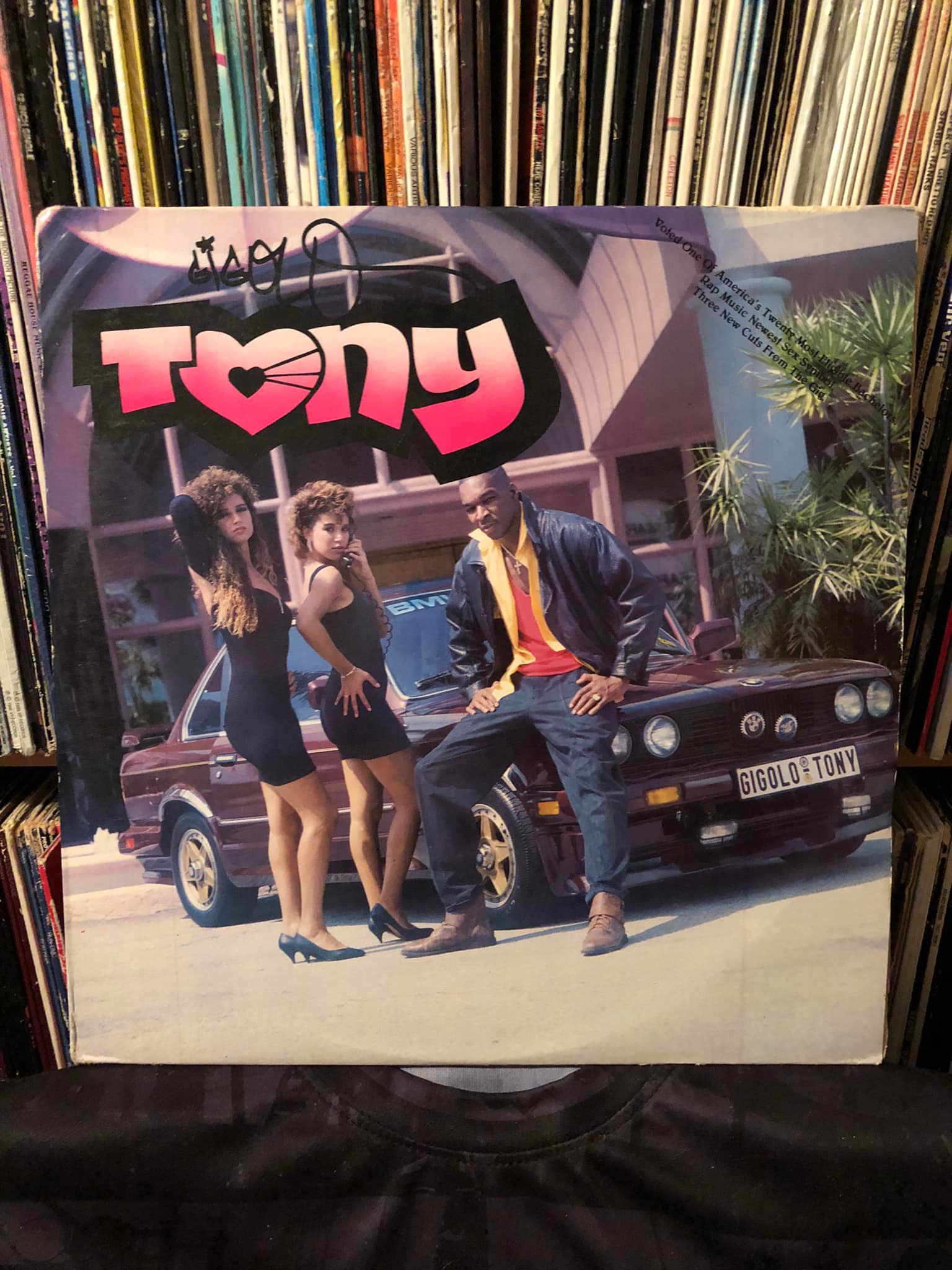 Gigolo Tony