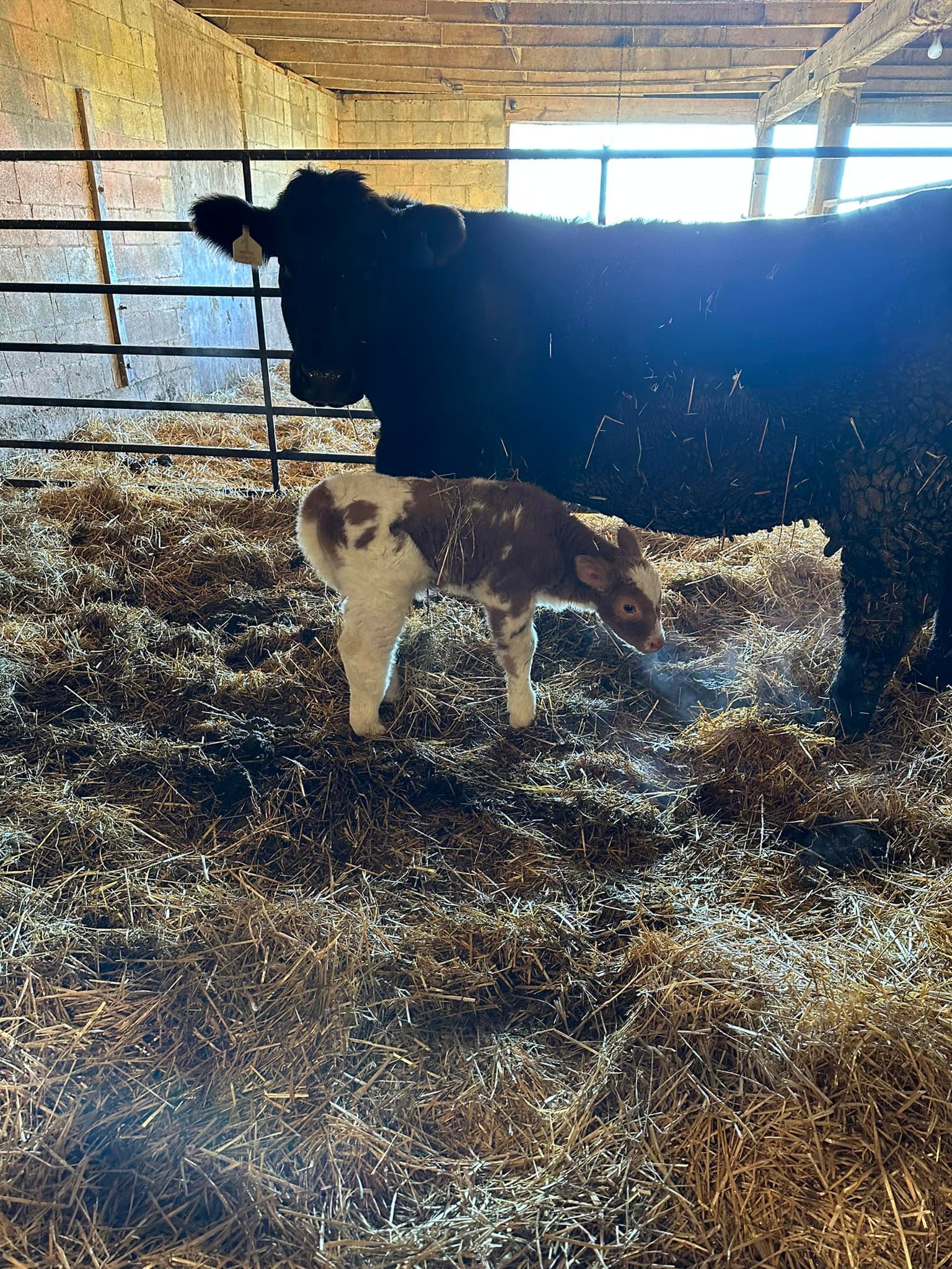 RVC Farms | Cedarville OH