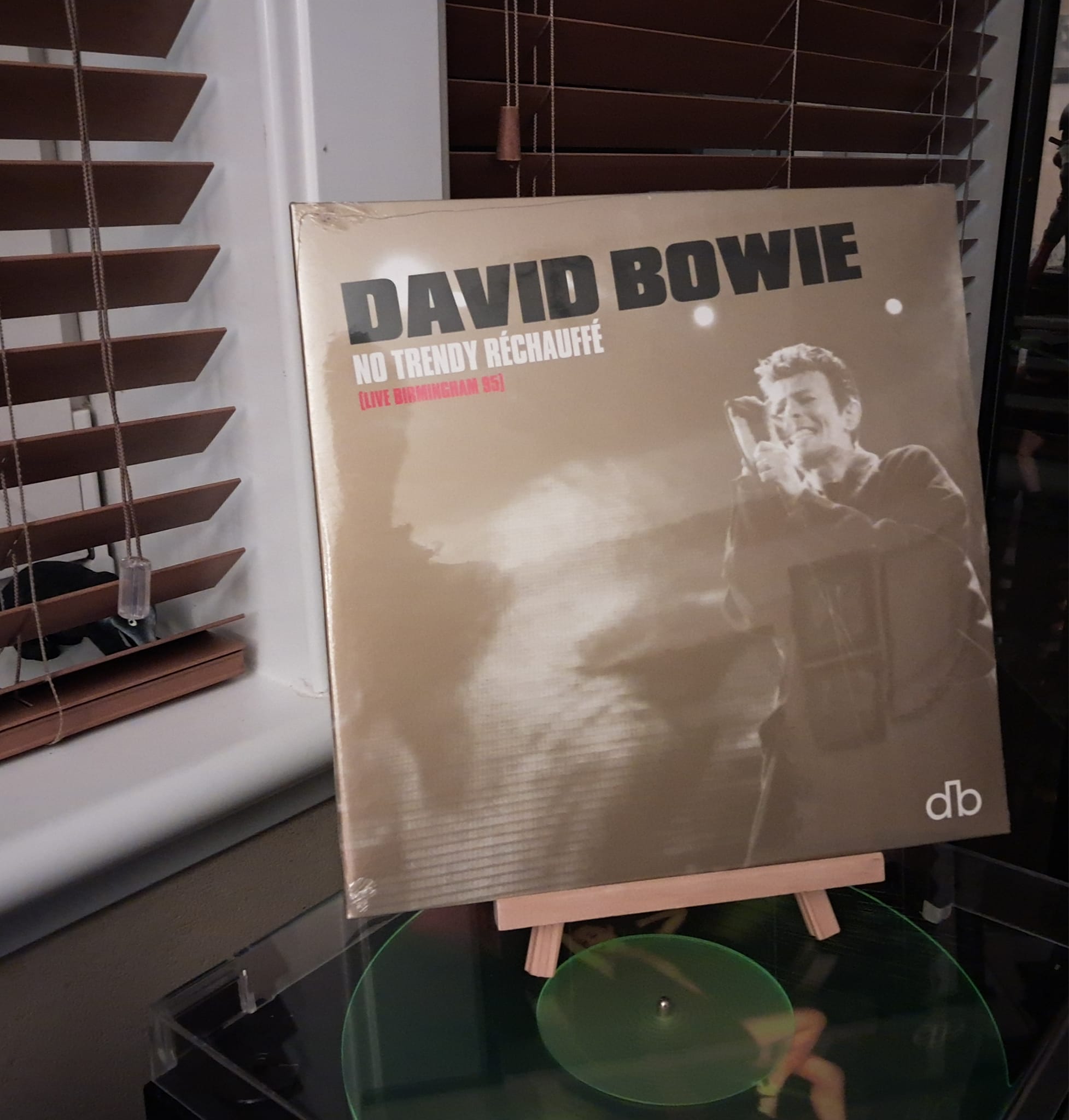 David Bowie - No Trendy Rechauffe Birmingham Live 1995 