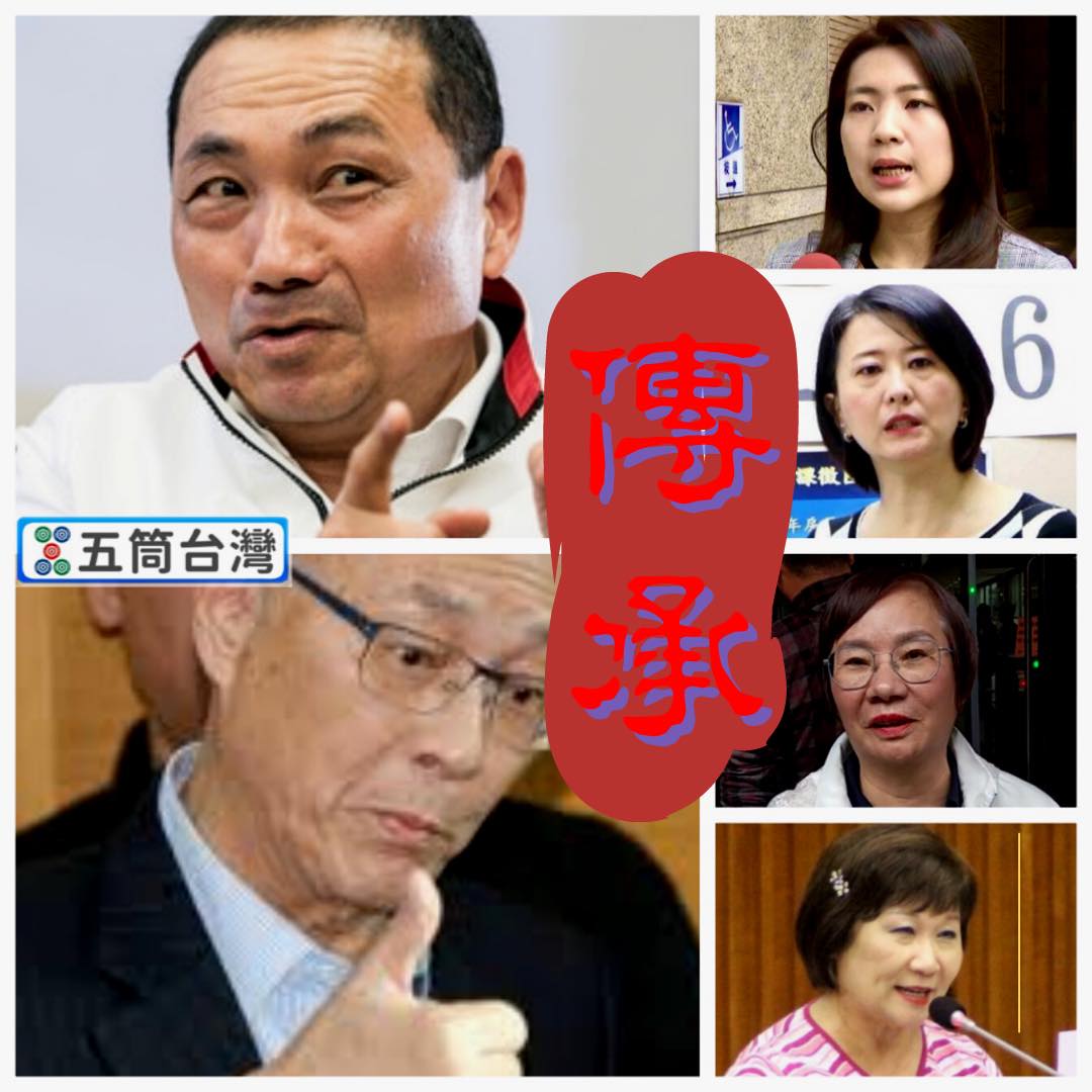 五筒台灣 - 論長相與生態位演化過程 #白賊 #後繼有人 #世代傳承