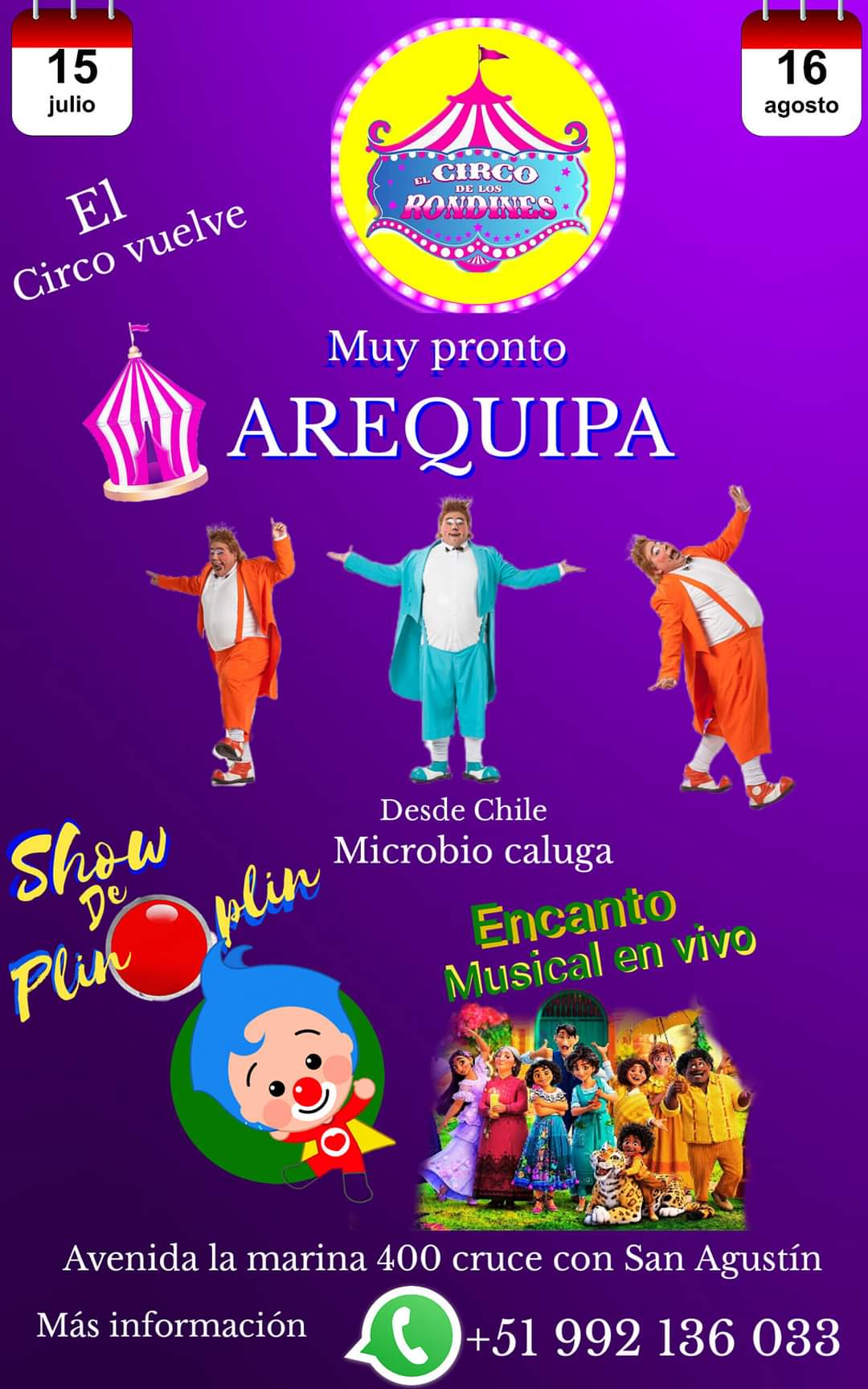 Diario EP - 🔊 Atención Arequipa / VUELVE EL #CIRCO... | Facebook