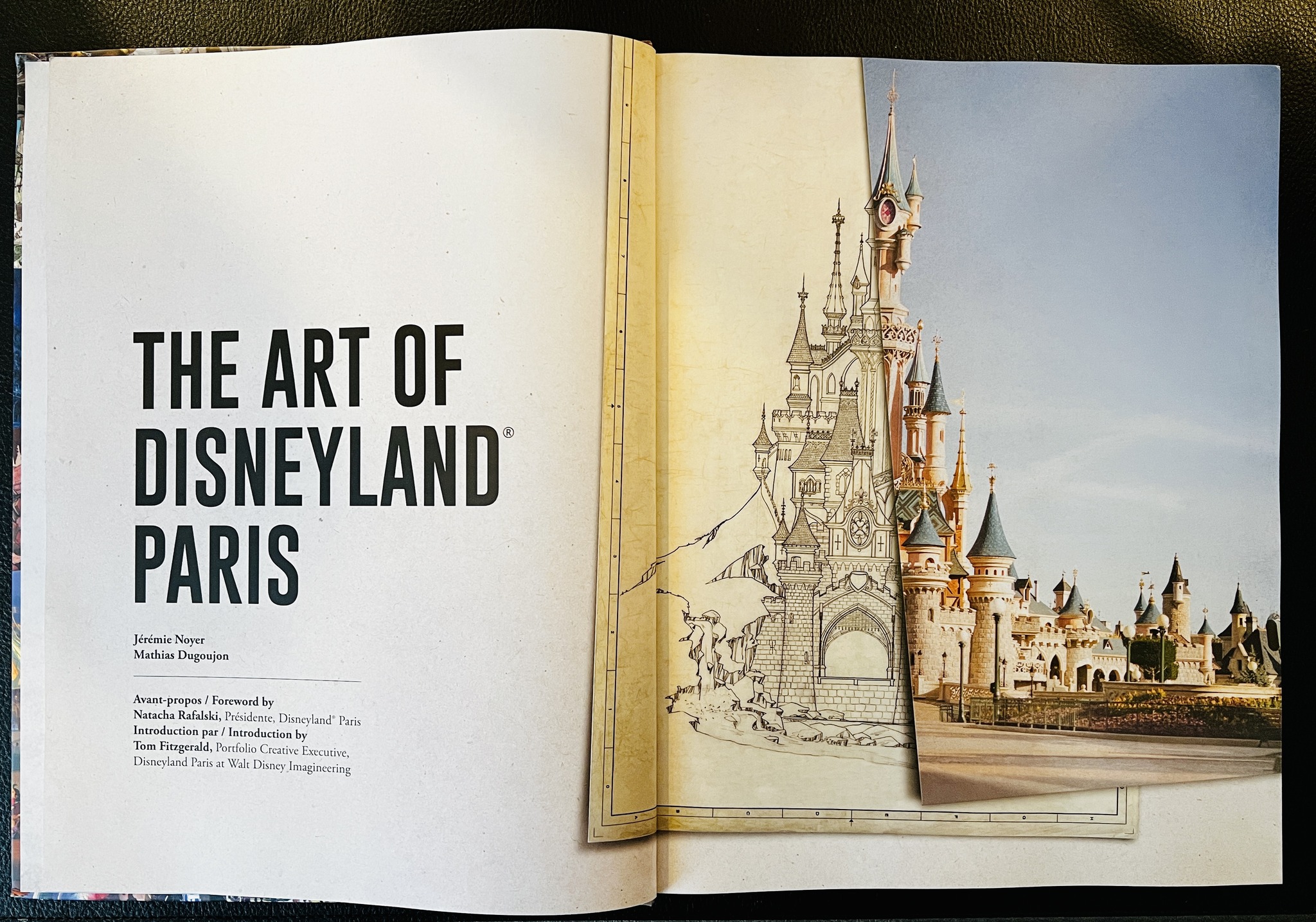 Disney has kindly sent me the beautiful new 