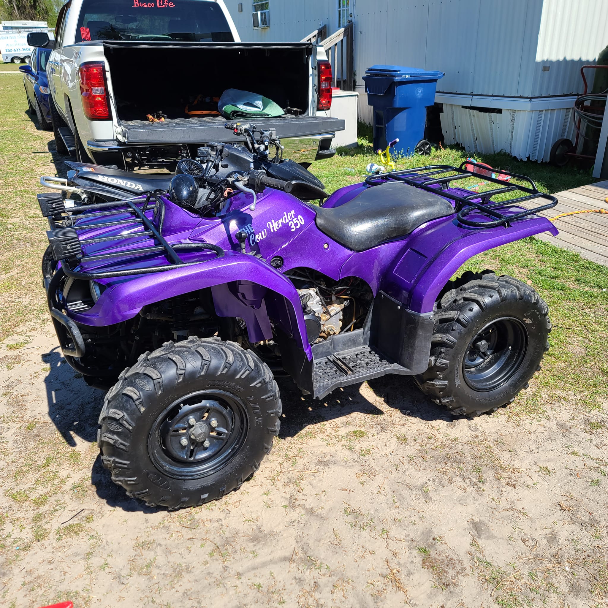 2005 Yamaha Bruin painted Plum Crazy purple