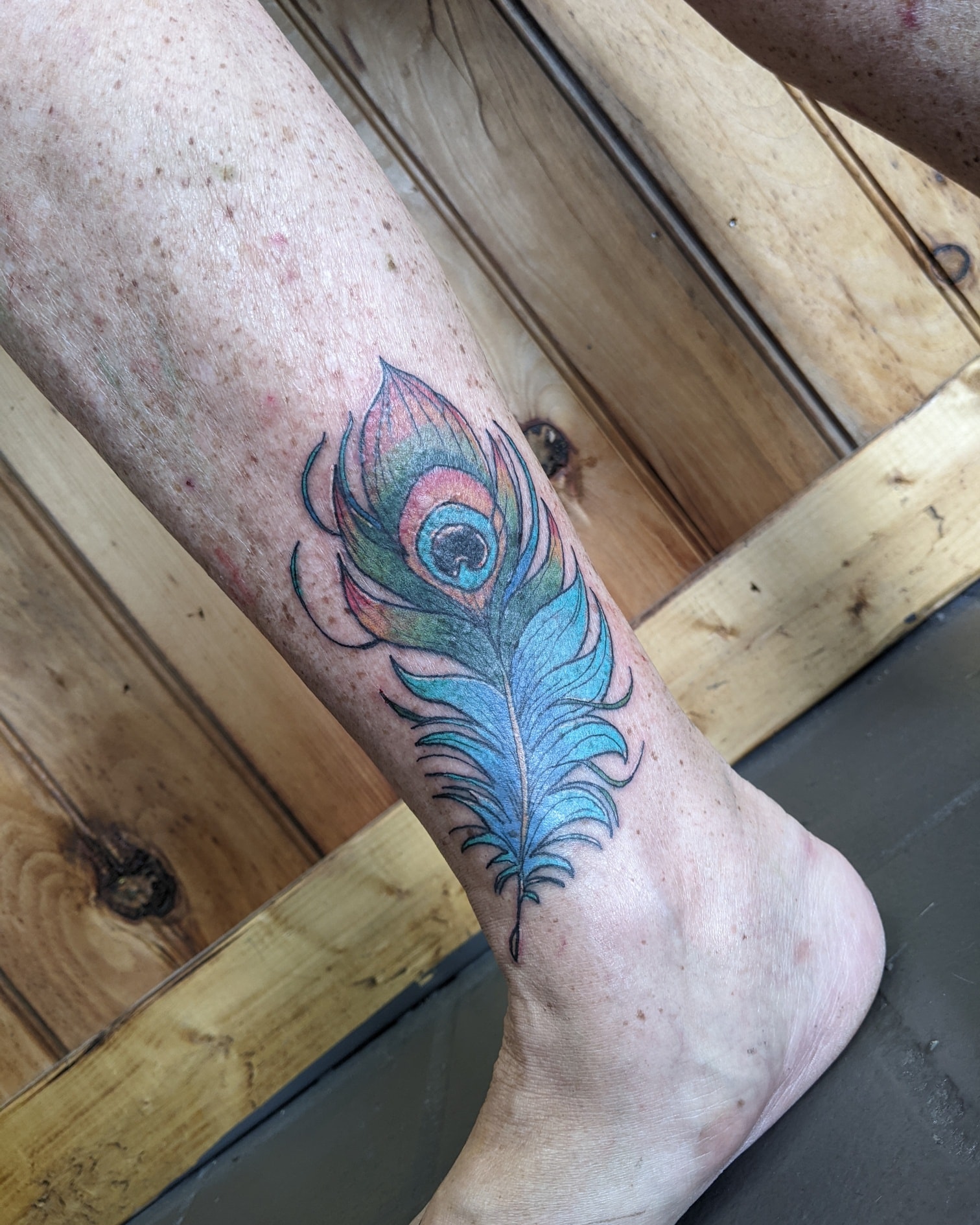 GypsyMoon - A color peacock feather by resident artist Carl Locklear ...