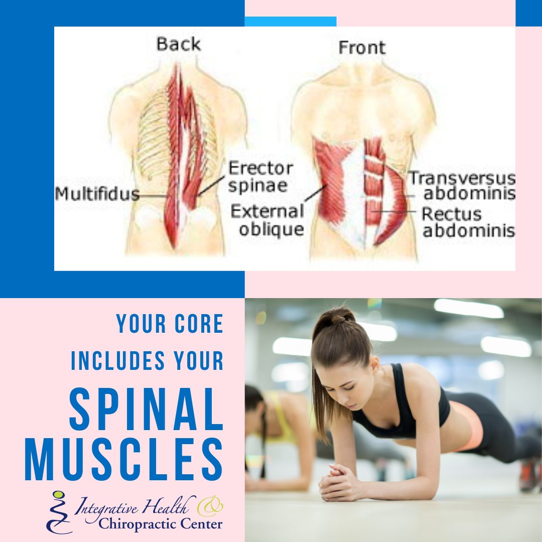 Did you know your core muscles include the muscles that run along your ...