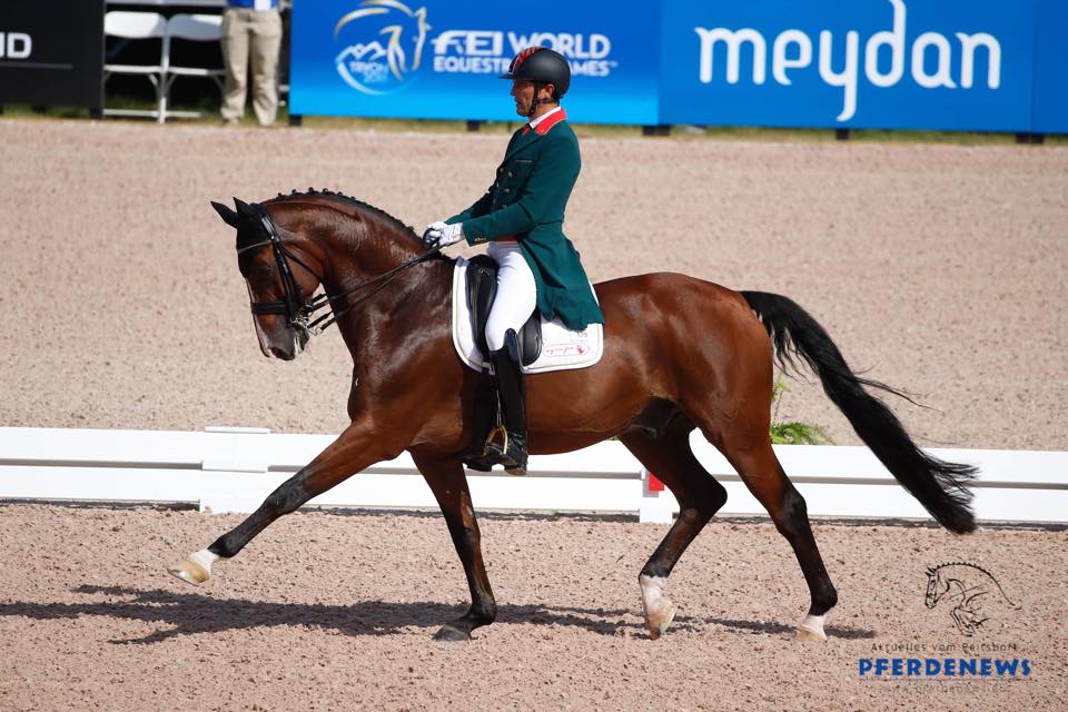 Ismail Jilaoui International Dressage Rider
