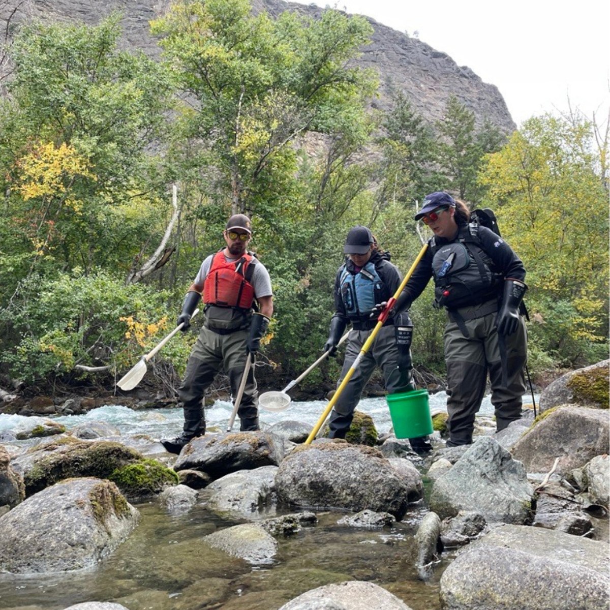 Instream Fisheries... - InStream Fisheries Research Inc.