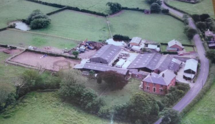 Marklley Stud - Markfield Farm