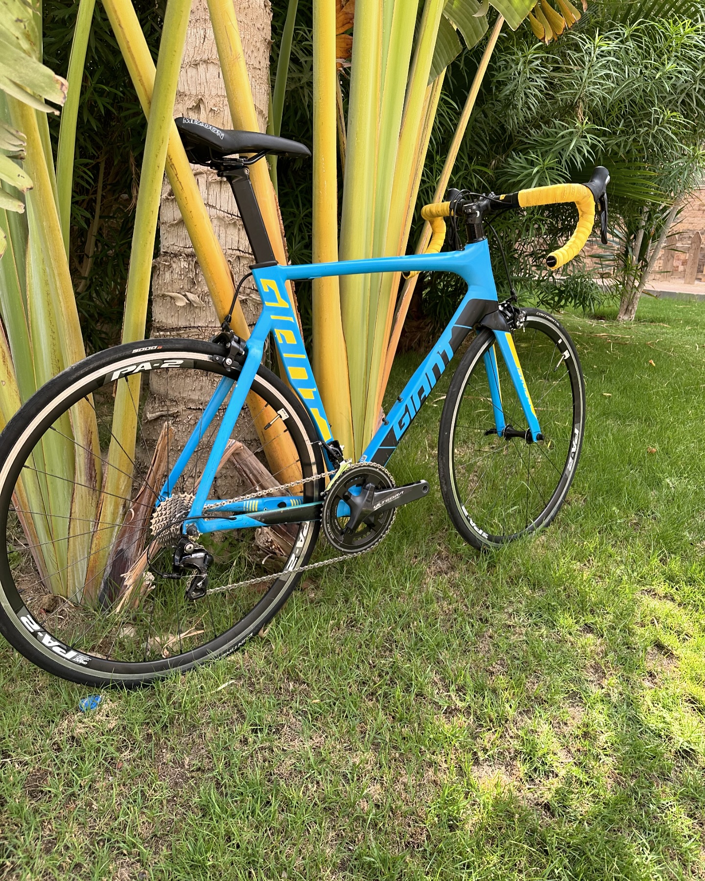 GIANT PROPEL SLR2 Half Carbon Groupset: Shimano105 Shifters 