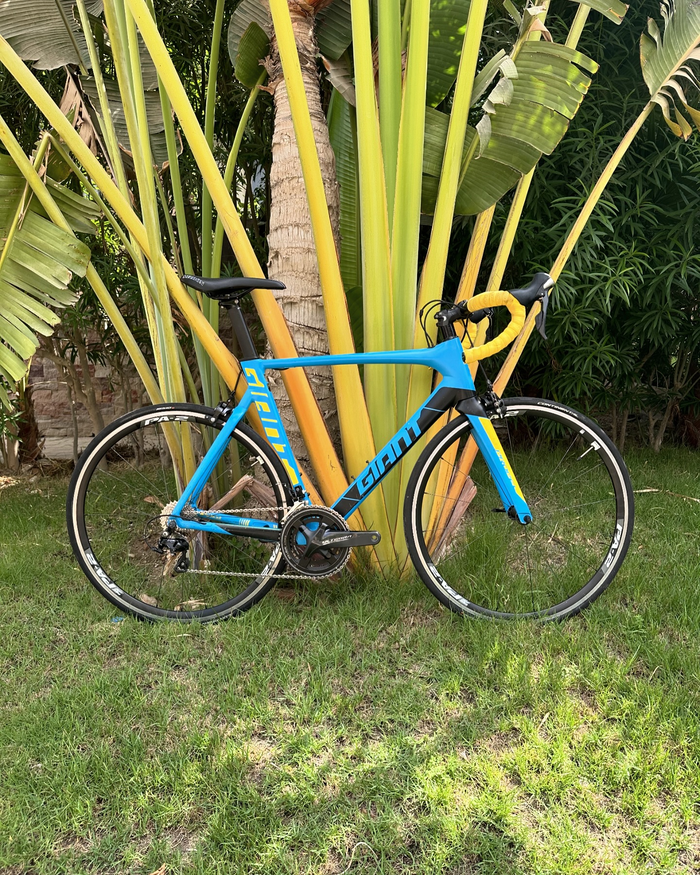 GIANT PROPEL SLR2 Half Carbon Groupset: Shimano105 Shifters 