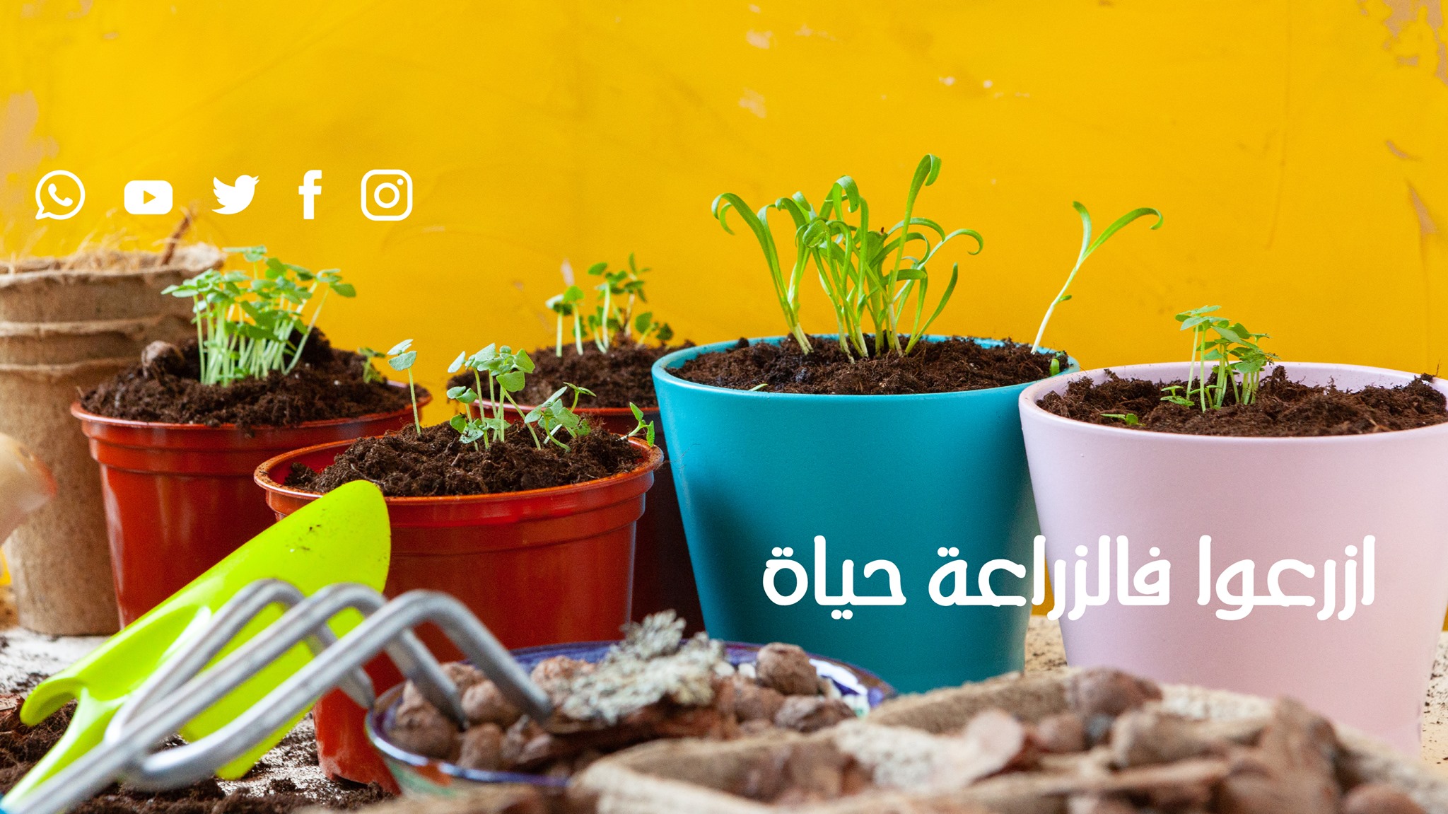 Shagrha - شجرها - ‎Shagrha - شجرها‎ added a new photo