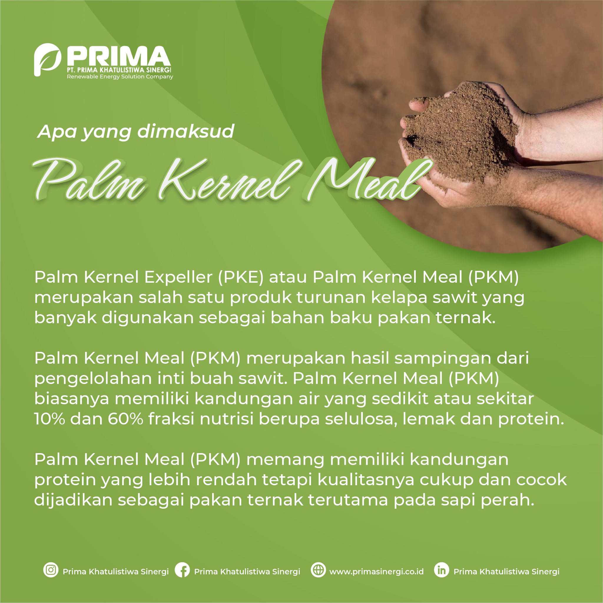 PT. - Palm Kernel Expeller (PKE) atau Palm Kernel Meal (PKM) merupakan ...