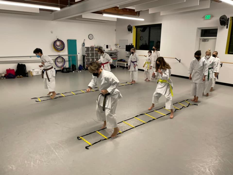Pacific Shito-Ryu Karate Dojo, LLC