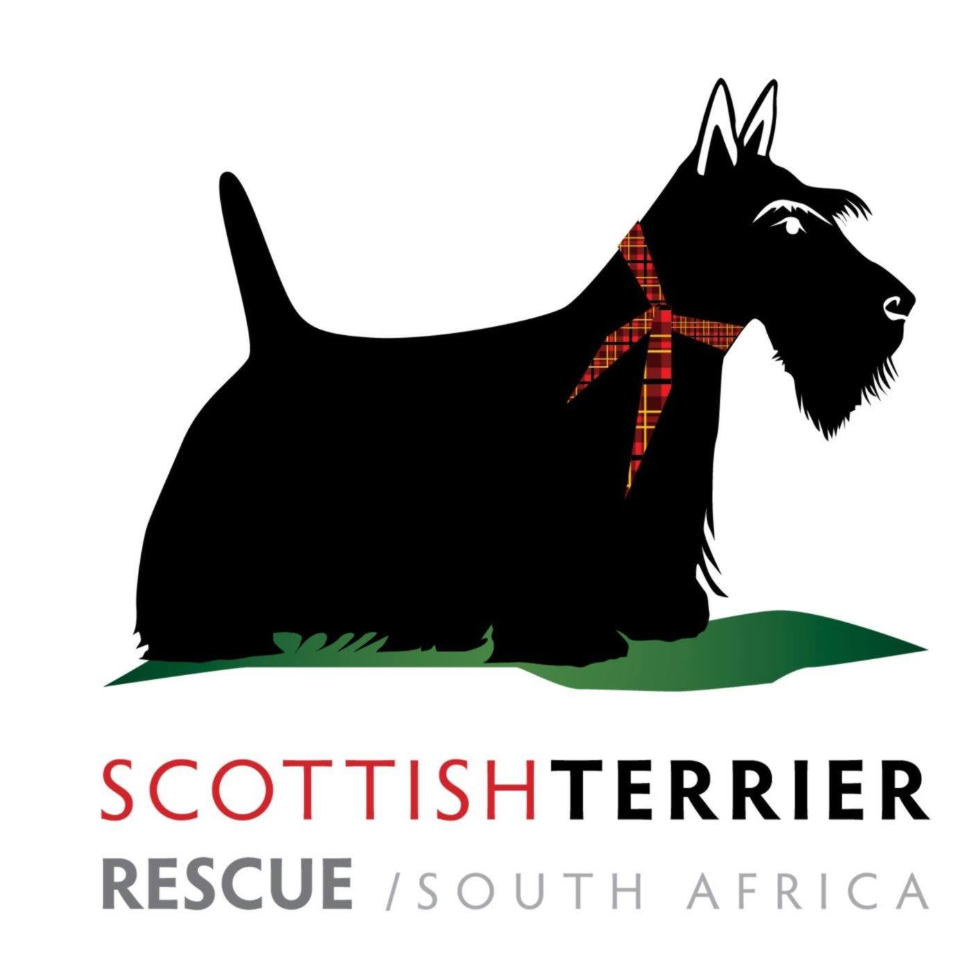 HELP! BENONI!... - Scottish Terrier Rescue South Africa | Facebook