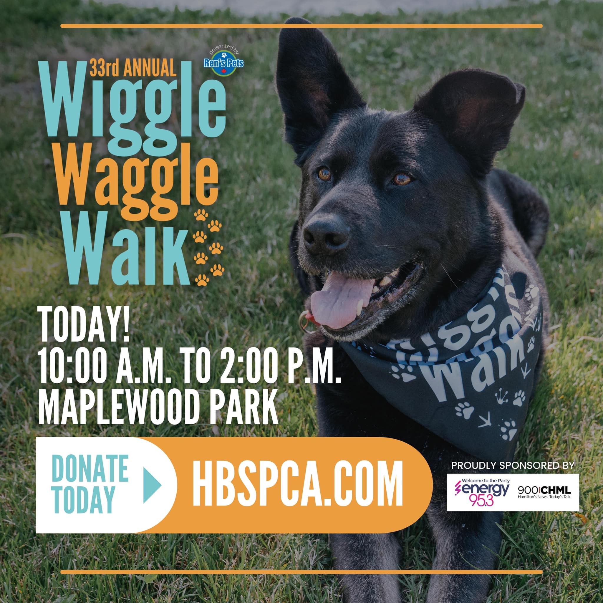 The time has finally arrived!... - Hamilton/Burlington SPCA | Facebook