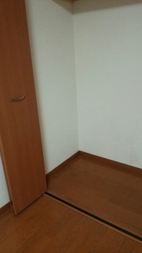 田爪里沙