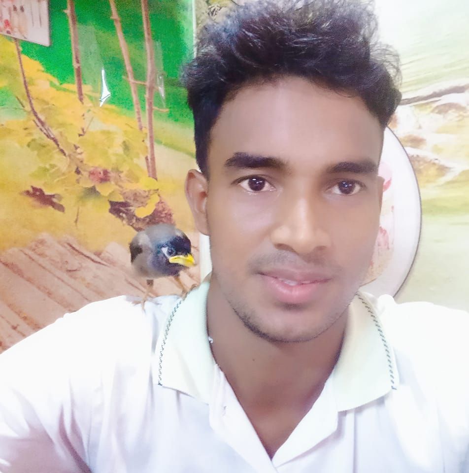 HM.Shipon Mahmud shipu