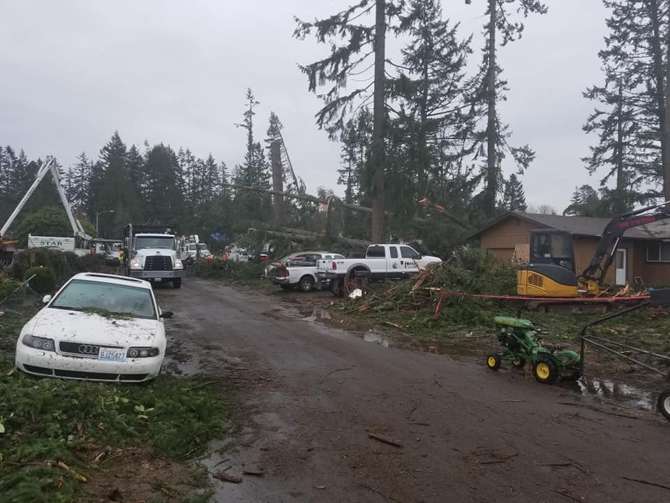 Highline Tree Removal Service | Southworth WA