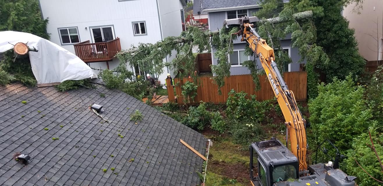 Highline Tree Removal Service | Southworth WA