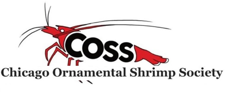Chicago Ornamental Shrimp Society