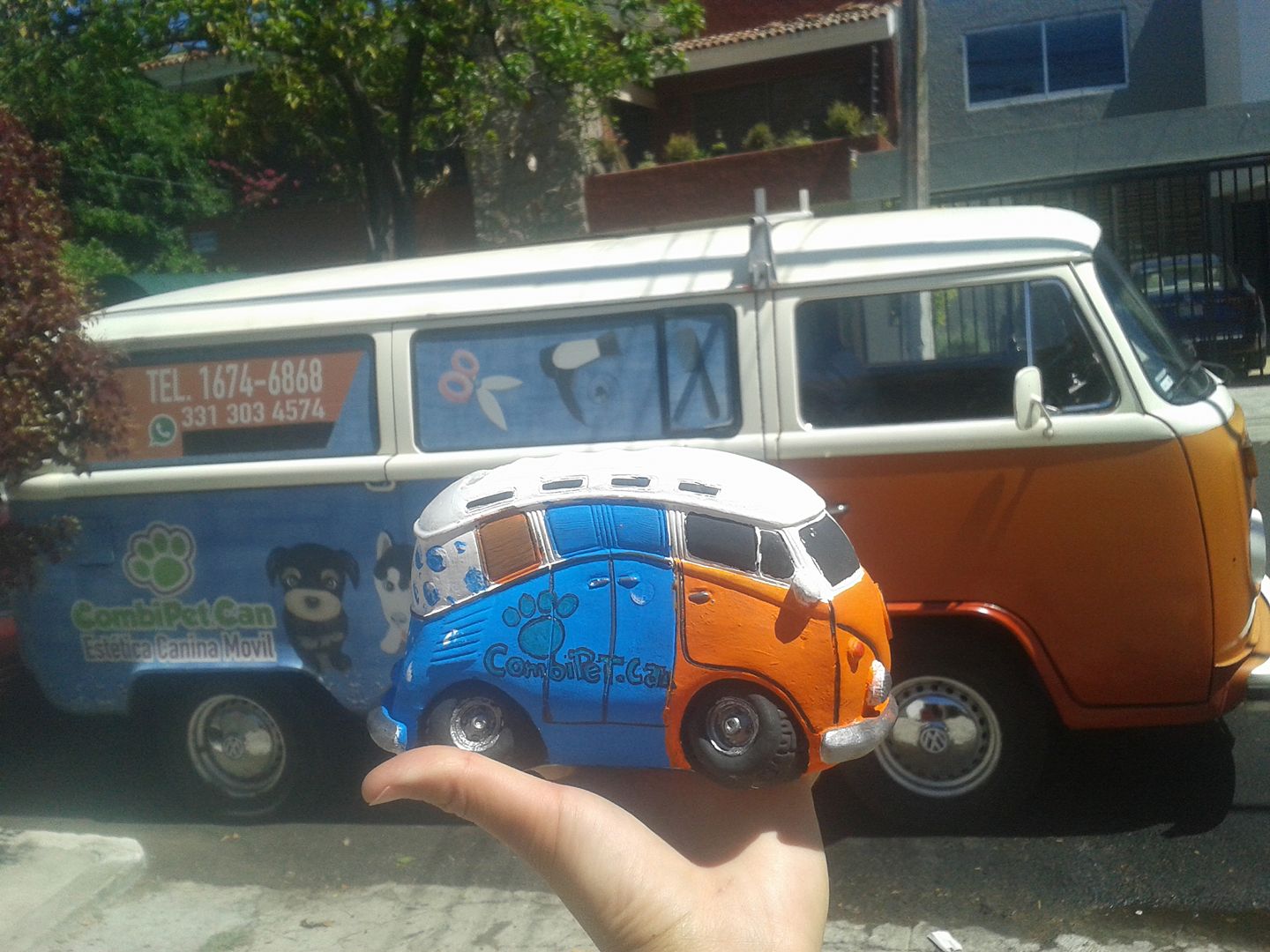 CombiPet.Can | Guadalajara