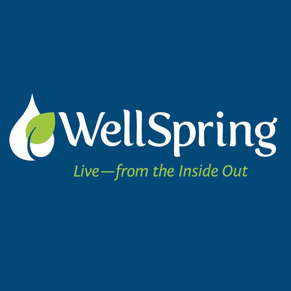 WellSpring - Pay 1,400 EGP LESS for the upcoming YDP Camp One last ...